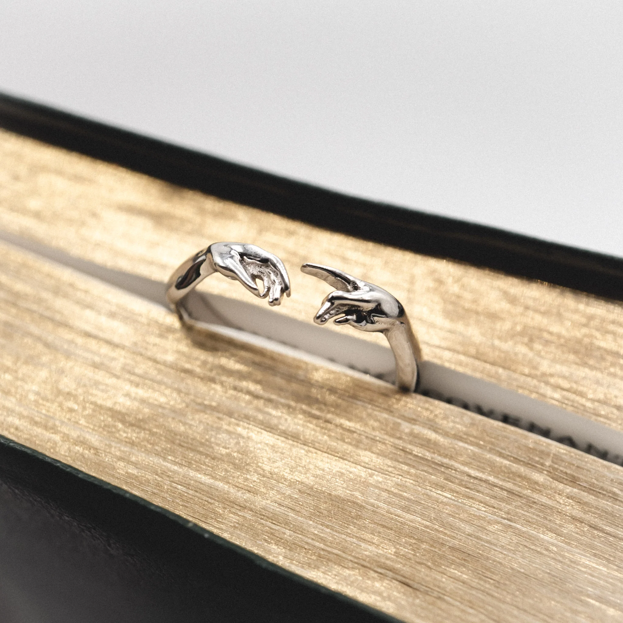 Creation of Adam Ring - Image 5