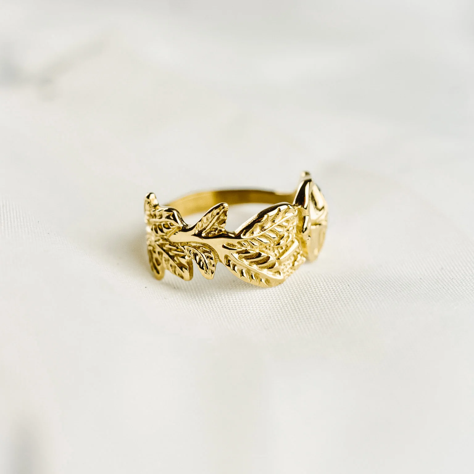 Eternal Rose - Image 4